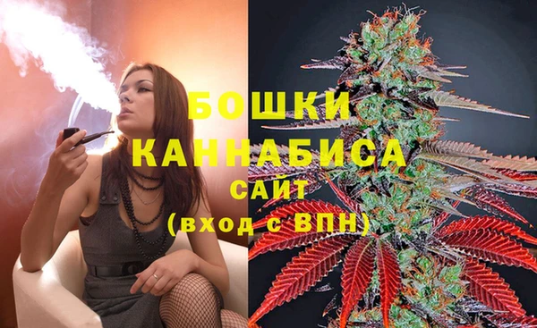 ALPHA-PVP Горнозаводск
