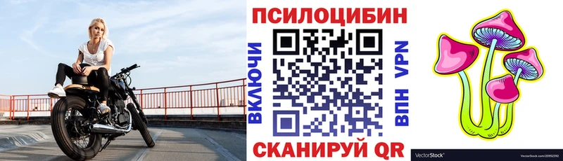 Псилоцибиновые грибы Psilocybe  Златоуст 