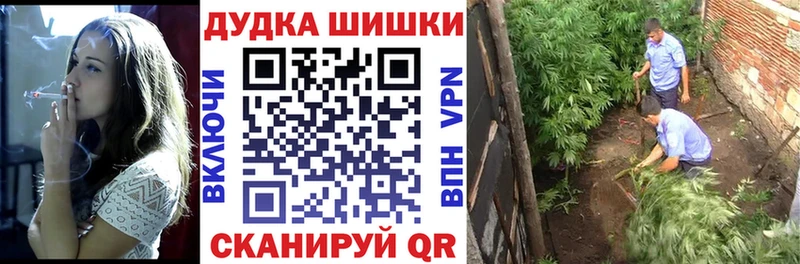 Конопля AK-47  ссылка на мегу как войти  Златоуст  купить наркоту 